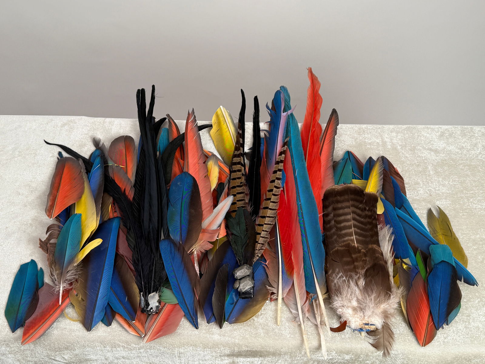 Group of Vintage Feathers (1 of 8)