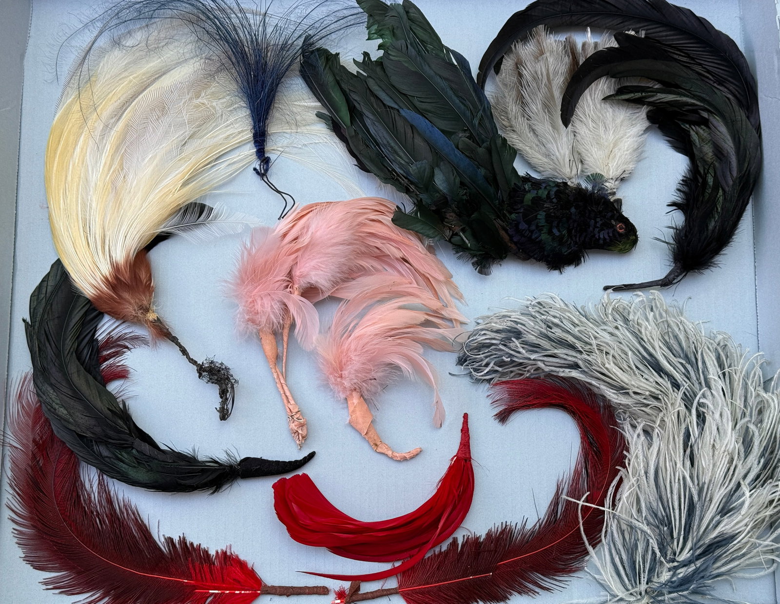 Antique Vintage Feathers Millinery Group (1) (1 of 6)