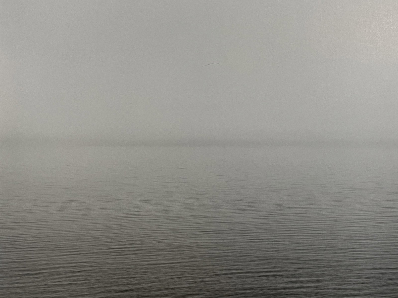 Hiroshi Sugimoto - Lake Superior, 2003: HIROSHI SUGIMOTO (B. 1948) Lake Superior, Eagle River, 2003 Print in Colors 6 1/2" x 8 1/2" Hiroshi Sugimoto is a contemporary Japanese photographer whose esoteric practice explores memory and time. U