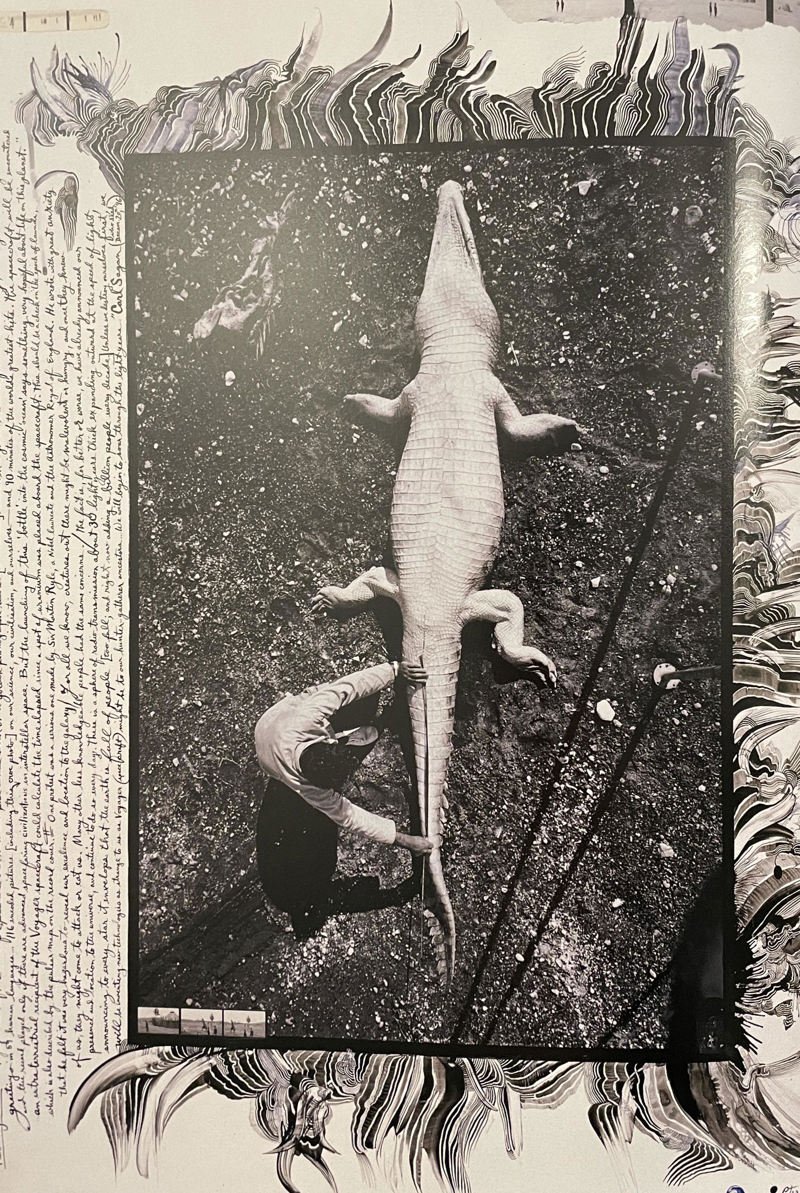 Peter Beard - Man Measuring Dead Alligator: PETER BEARD (1938-2020) Man Measuring Dead Alligator Print in Colors, Printed in the 2000s 8 1/4" x 11 3/4" Peter Beard was an American photographer best known for his documentary images of Africa arr