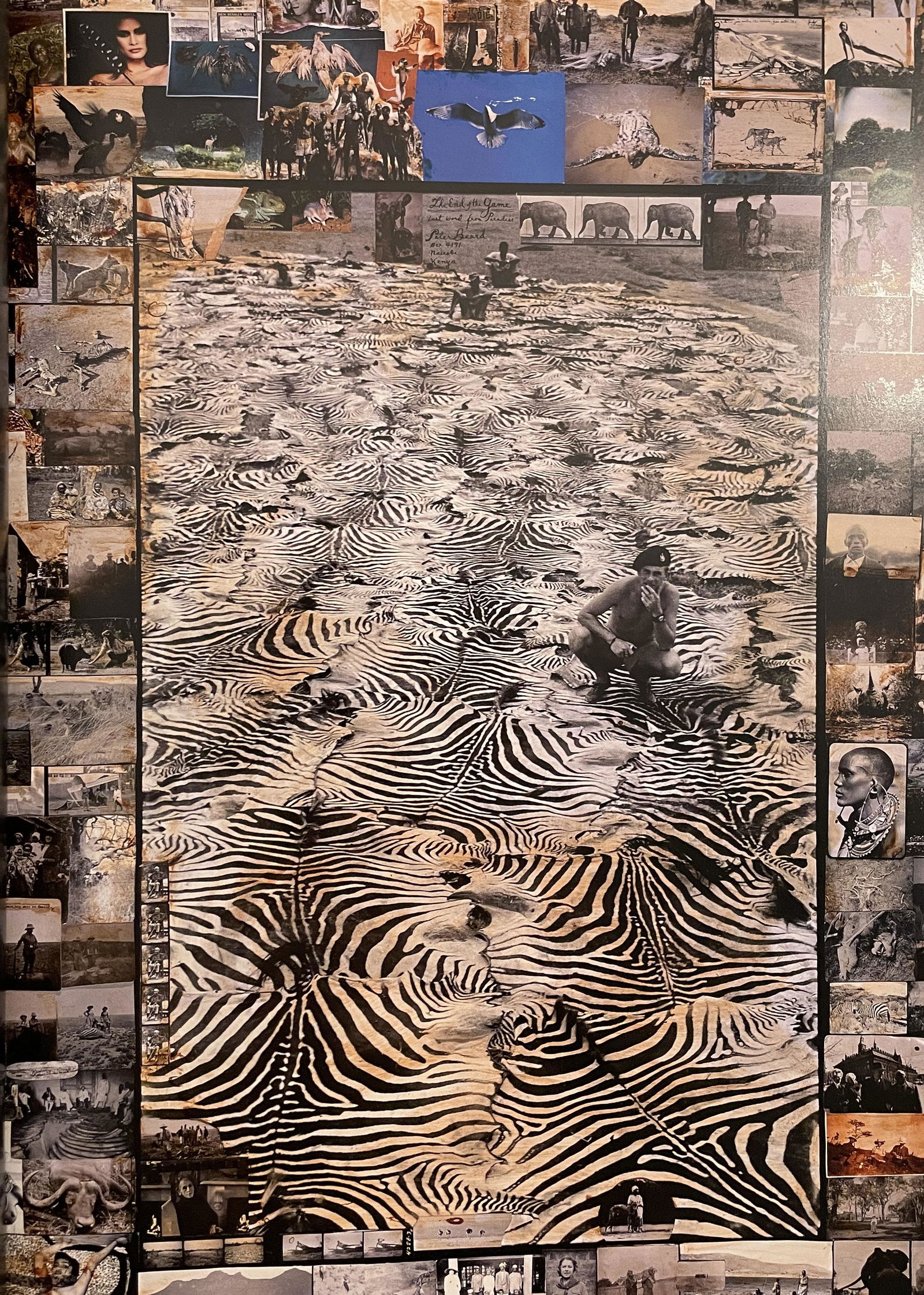 Peter Beard - Zebra Carpet, 1960: PETER BEARD (1938-2020) Zebra Carpet, Kenya, 1960 Print in Colors, Printed in the 2000s 8 1/4" x 12 1/4" Peter Beard was an American photographer best known for his documentary images of Africa arrang