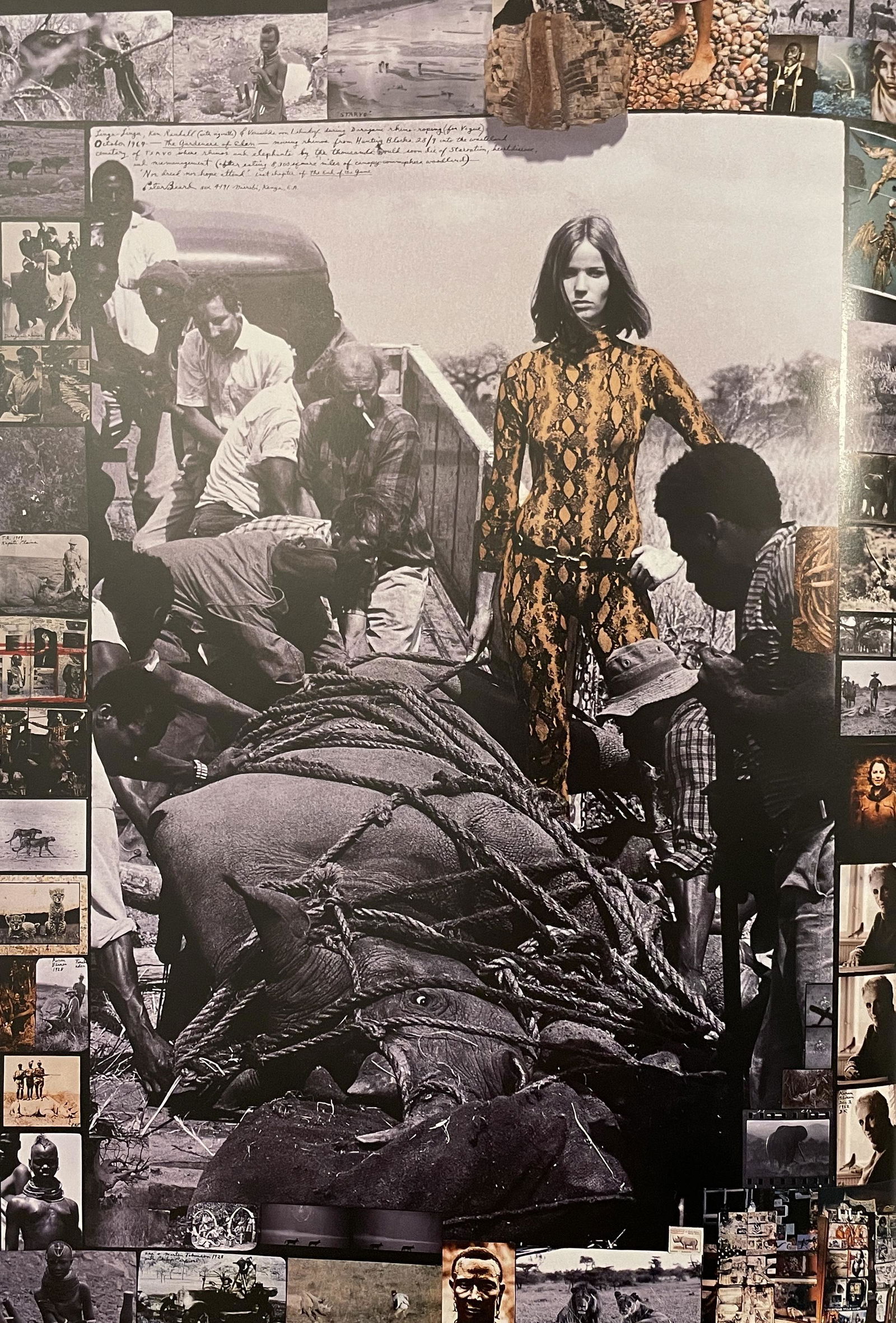 Peter Beard - Rhino Roping, 1964: PETER BEARD (1938-2020) Rhino Roping, 1964 Print in Colors, Printed in the 2000s 8 1/4" x 12 1/4" Peter Beard was an American photographer best known for his documentary images of Africa arranged in u