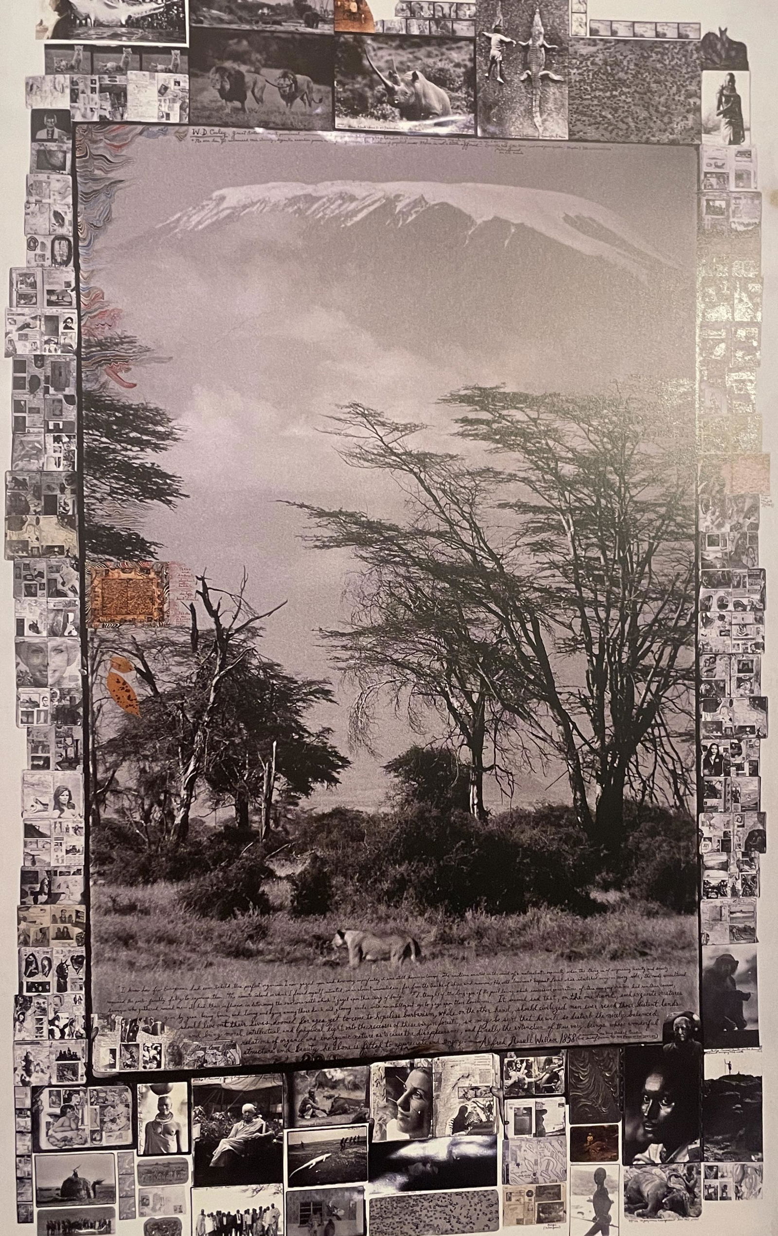 Peter Beard - Lioness in Front of Kilimanjaro, 1960: PETER BEARD (1938-2020) Lioness in Front of Kilimanjaro, 1960 Print in Colors, Printed in the 2000s 7 3/4" x 12 1/4" Peter Beard was an American photographer best known for his documentary images of A