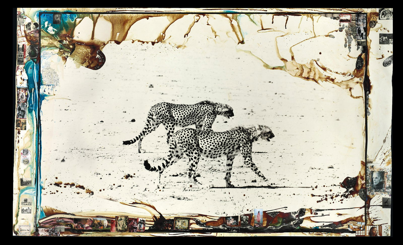 Peter Beard - Hunting Cheetahs on the Tarn Desert: PETER BEARD (1938-2020) Hunting Cheetahs on the Tarn Desert, Undated Print in Colors 7 1/2" x 12 1/4" Peter Beard was an American photographer best known for his documentary images of Africa arranged