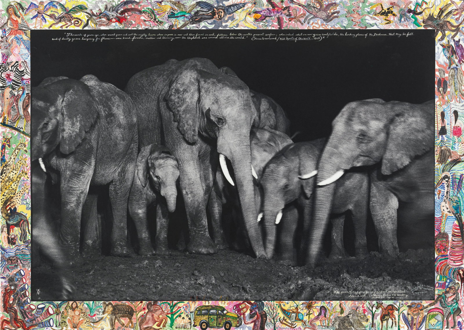 Peter Beard - Elephant Family at Night at a Salt Lick, 1972 (1 of 1)