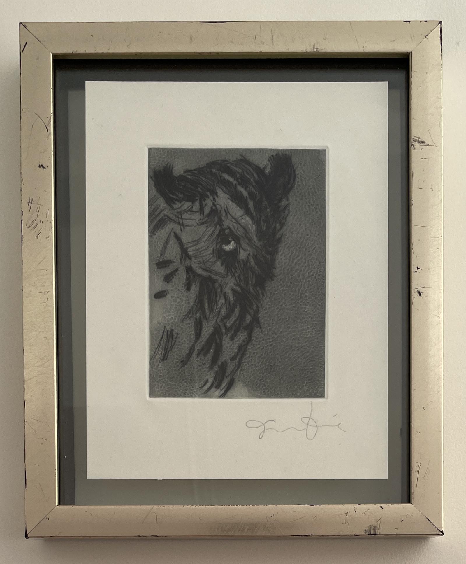 Jim Dine - Owl, Hand Signed - Etching (1 of 6)