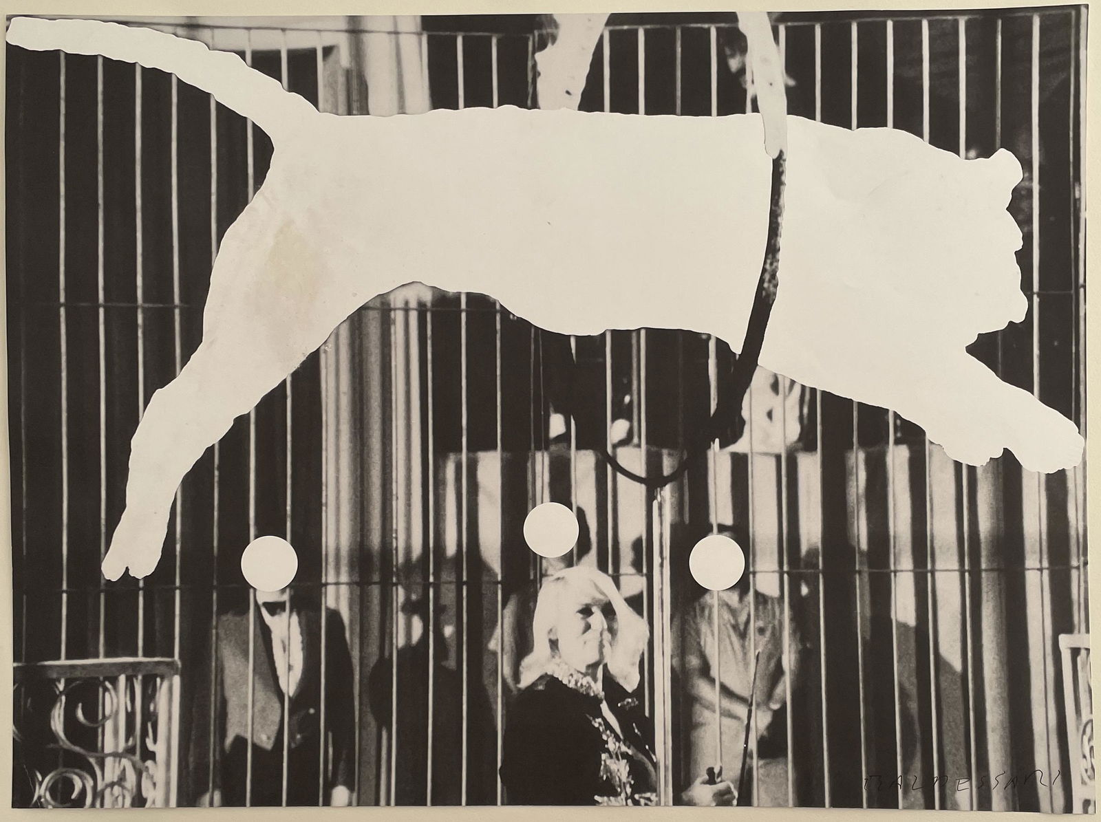 John Baldessari - Tiger With No Stripes, 2017 - Hand Signed (1 of 6)