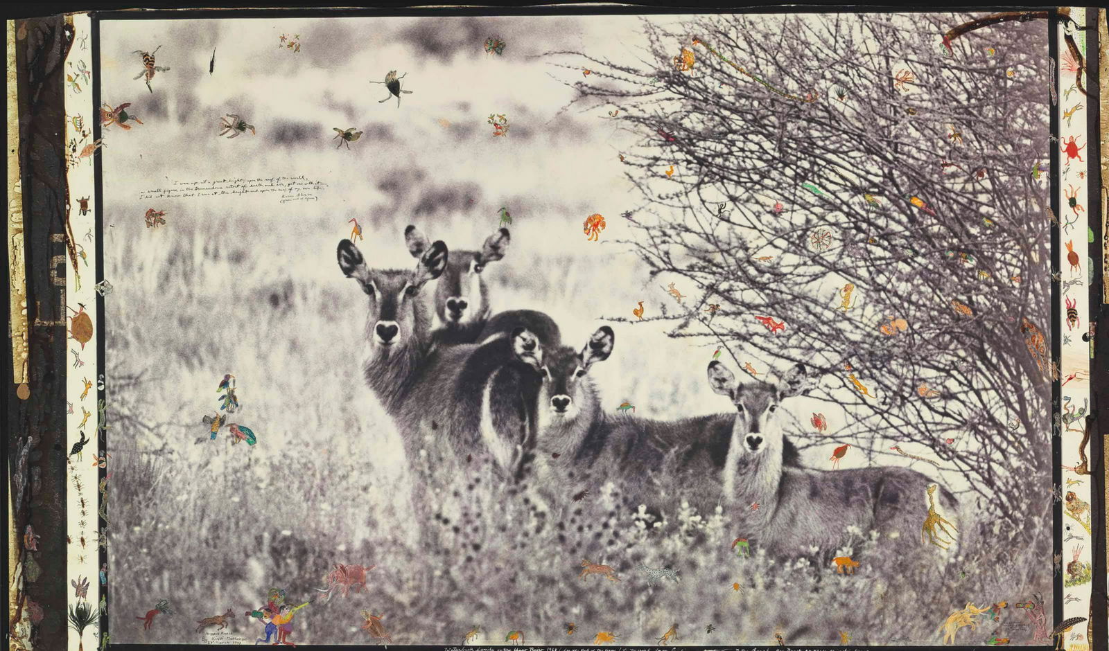 Peter Beard - Waterbuck Family on the Uaso Nyiro, 1968: PETER BEARD (1938-2020) Waterbuck Family on the Uaso Nyiro, 1968 Print in Colors 6 1/4" x 12 1/4" Peter Beard was an American photographer best known for his documentary images of Africa arranged in u