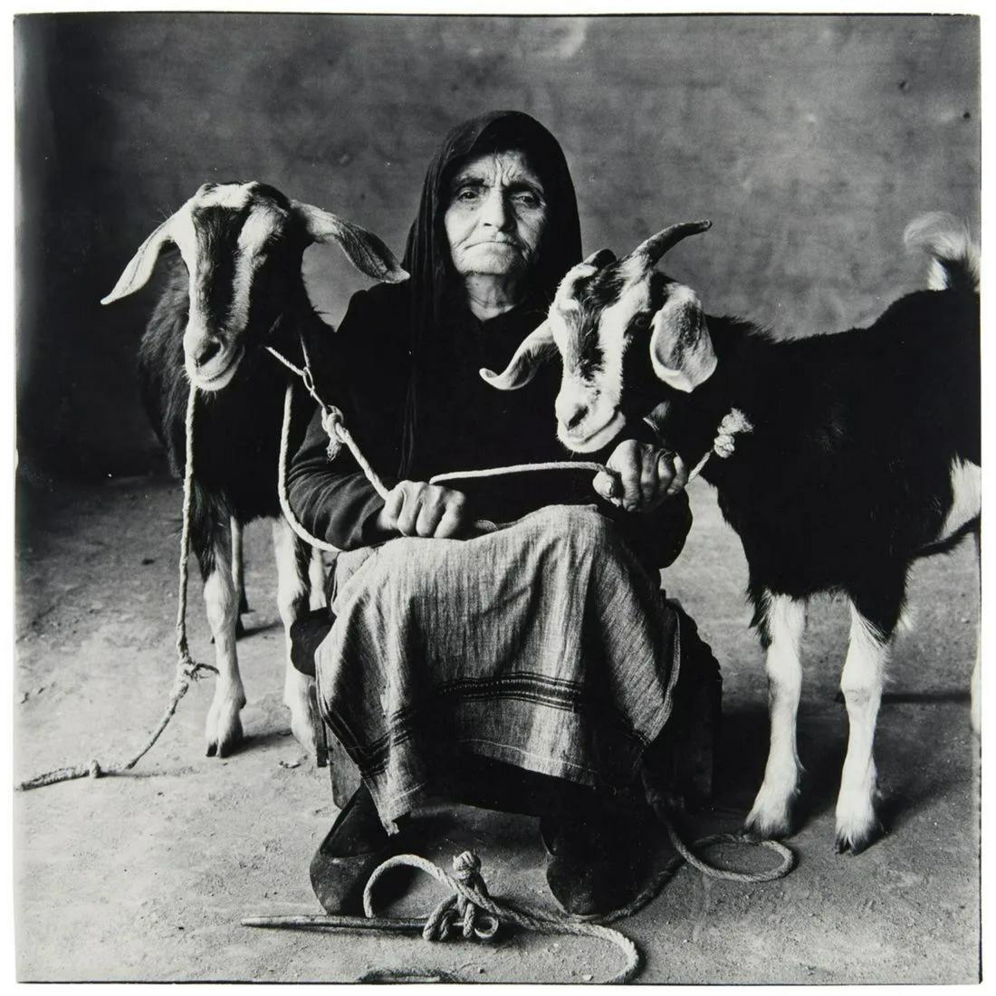 Irving Penn - Old Woman with Goats: IRVING PENN (1917-2009) Old Woman with Goats Print in Colors 7" x 9" Irving Penn was an American photographer known for both his commercial and fine art work. Using both large format and 35mm cameras,