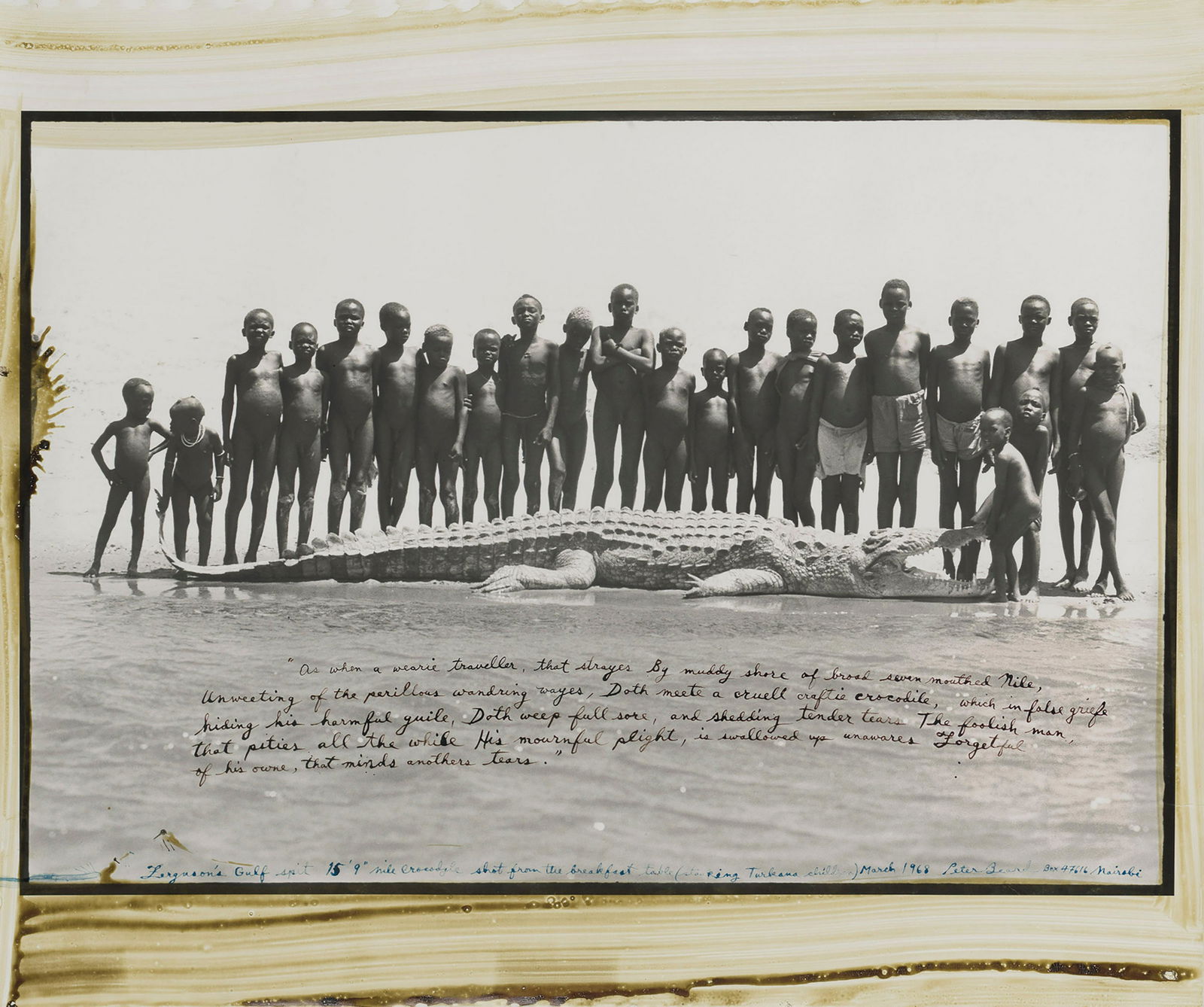 Peter Beard - Crocodile on Fergusons Gulf Spit, 1968: PETER BEARD (1938-2020) Crocodile on Fergusons Gulf Spit, Shot from the Breakfast Table While Stalking Turkana Totos, Nairobi, Kenya, 1968 Print in Colors 7 1/4" x 13 1/2" Peter Beard was an American