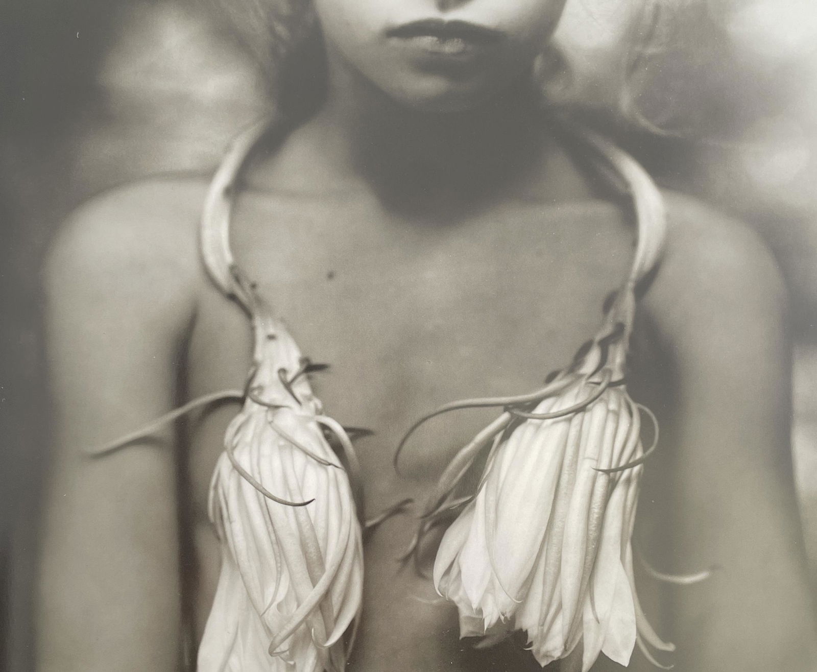 Sally Mann - Night-Blooming Cereus, 1988: SALLY MANN (B.1951) Night-Blooming Cereus, 1988 Print in Colors 10" x 8" Sally Mann is an American photographer known for her black-and-white portraits of her family and documentation of the landscape