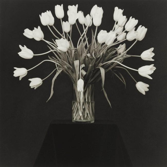 Robert Mapplethorpe - Vase with White Tulips, 1988 (1 of 1)