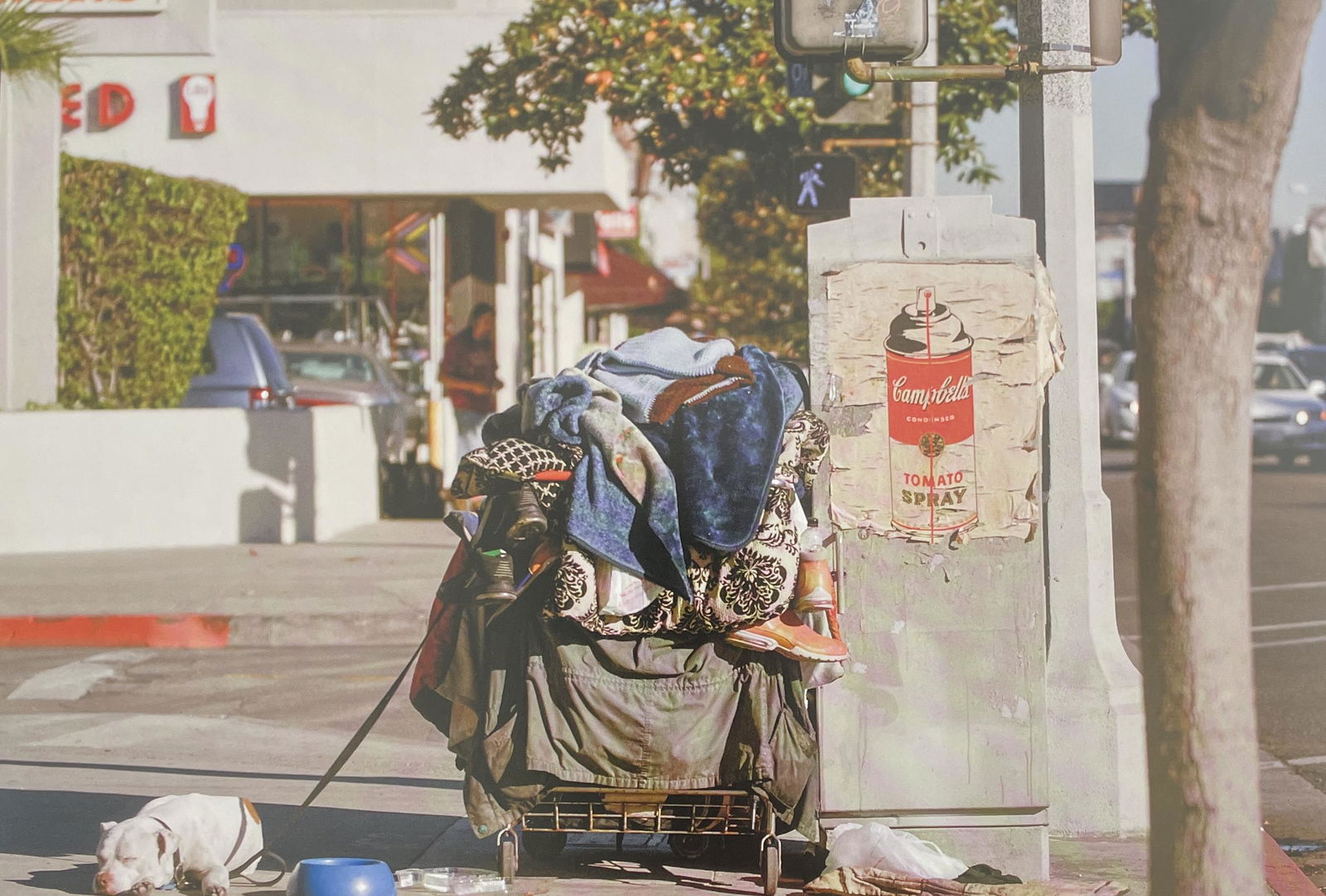 Mr. Brainwash - Tomato Spray (1 of 1)