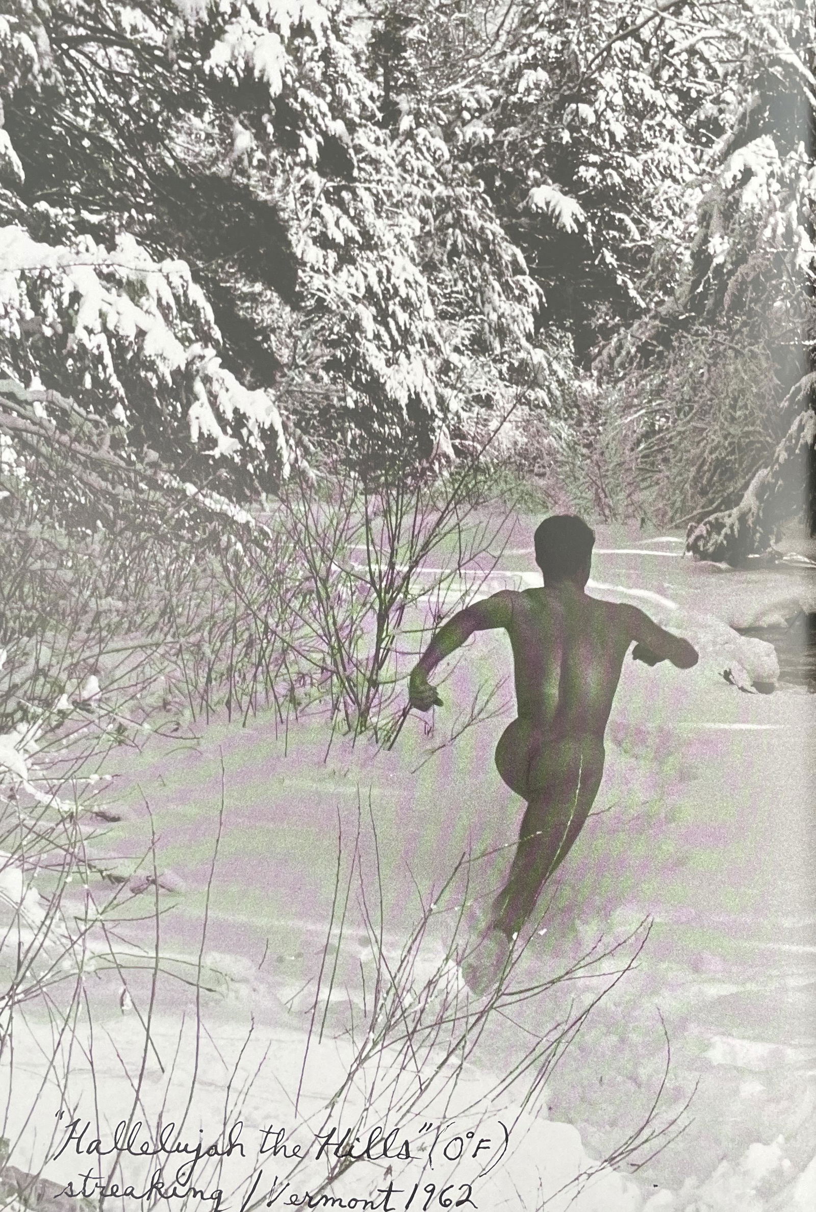 Peter Beard - Hallelujah the Hills, Vermont, 1962: PETER BEARD (1938-2020) Title - Hallelujah the Hills, Vermont, 1962 Type of Print - Print in ColorsEstimated Image Size - 8" x 12" Peter Beard was an American photographer best known for his documenta