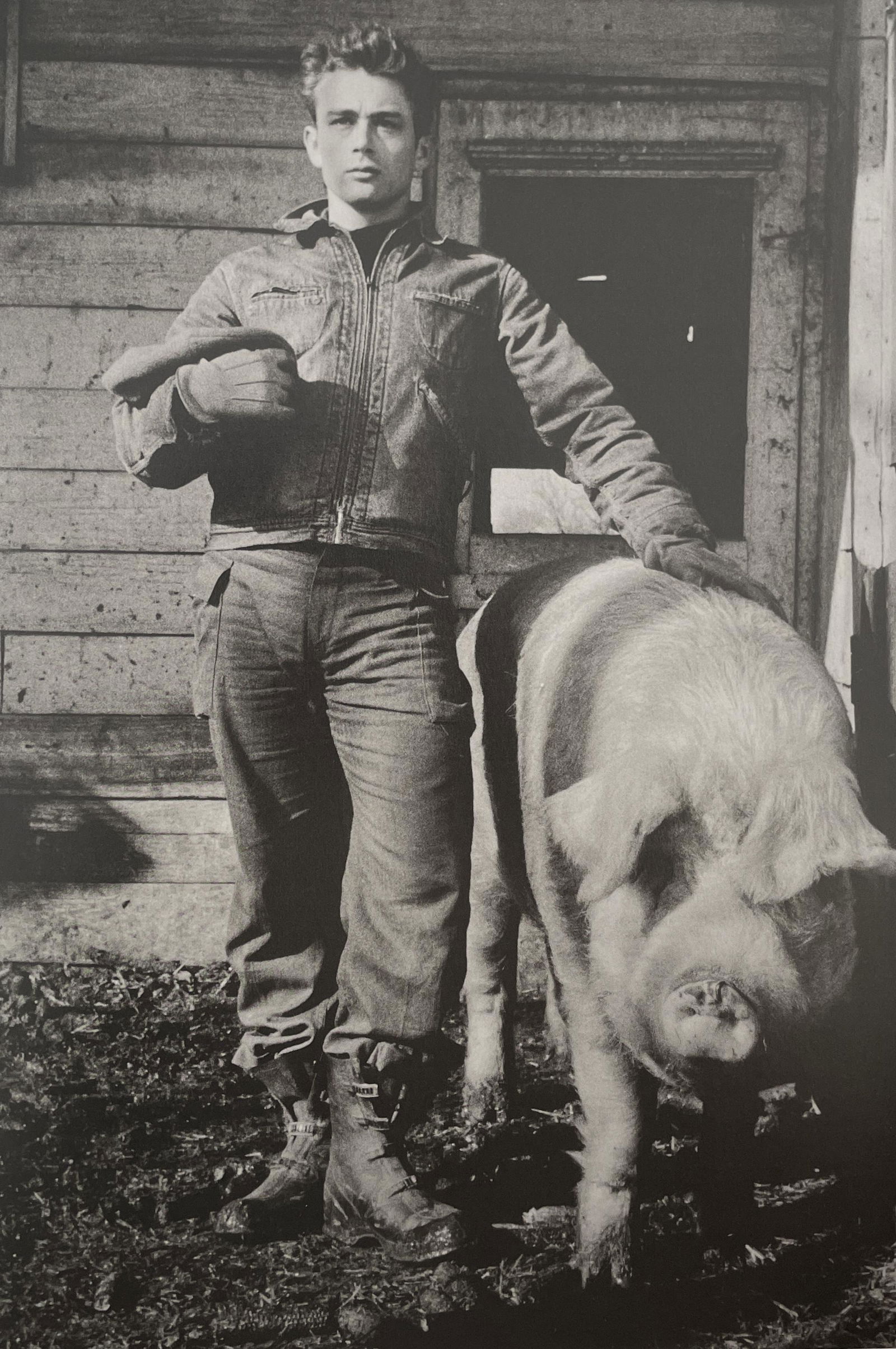 Dennis Stock Portrait Of James Dean Auction