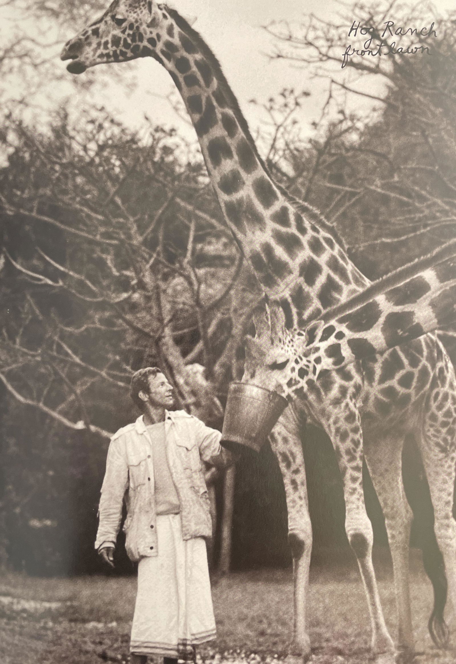 Peter Beard - Hog Ranch, front lawn: PETER BEARD (1938-2020) Title - Hog Ranch, front lawn Type of Print - Print in ColorsEstimated Image Size - 8" x 12" Peter Beard was an American photographer best known for his documentary images of A