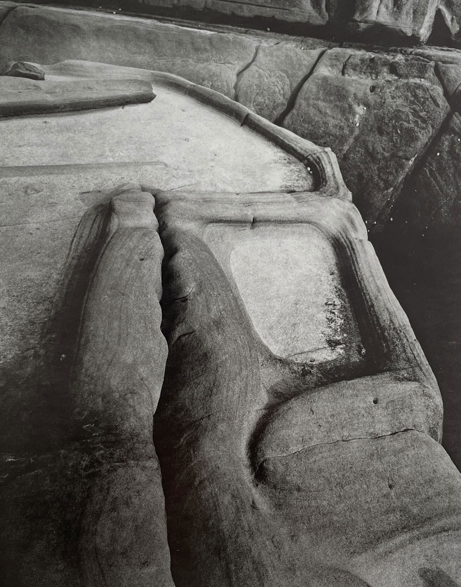 Edward Weston - Point Lobos, 1929 (1 of 1)