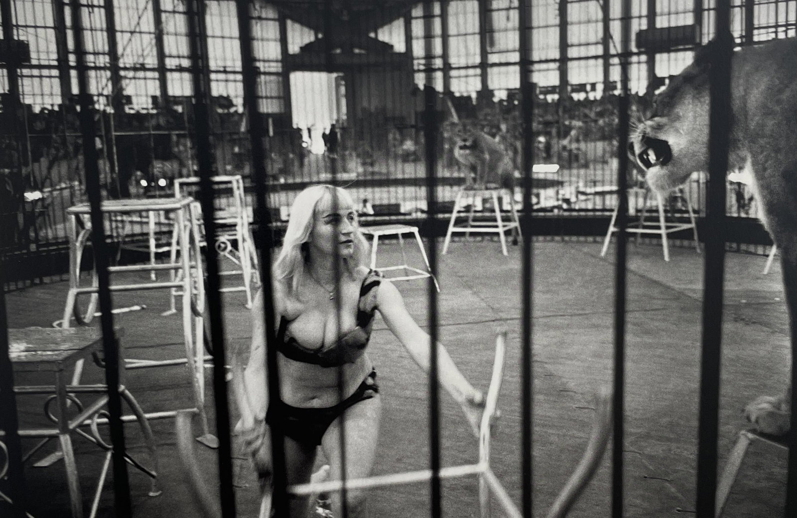Bruce Davidson - Ringling Brothers and Barnum and Bailey Circus, 1965: BRUCE DAVIDSON (B.1933) Title - Ringling Brothers and Barnum and Bailey Circus, 1965 Type of Print - Print in Colors Approximate Image Size - 9 1/2" x 6 1/2" Bruce Davidson is an American photographer