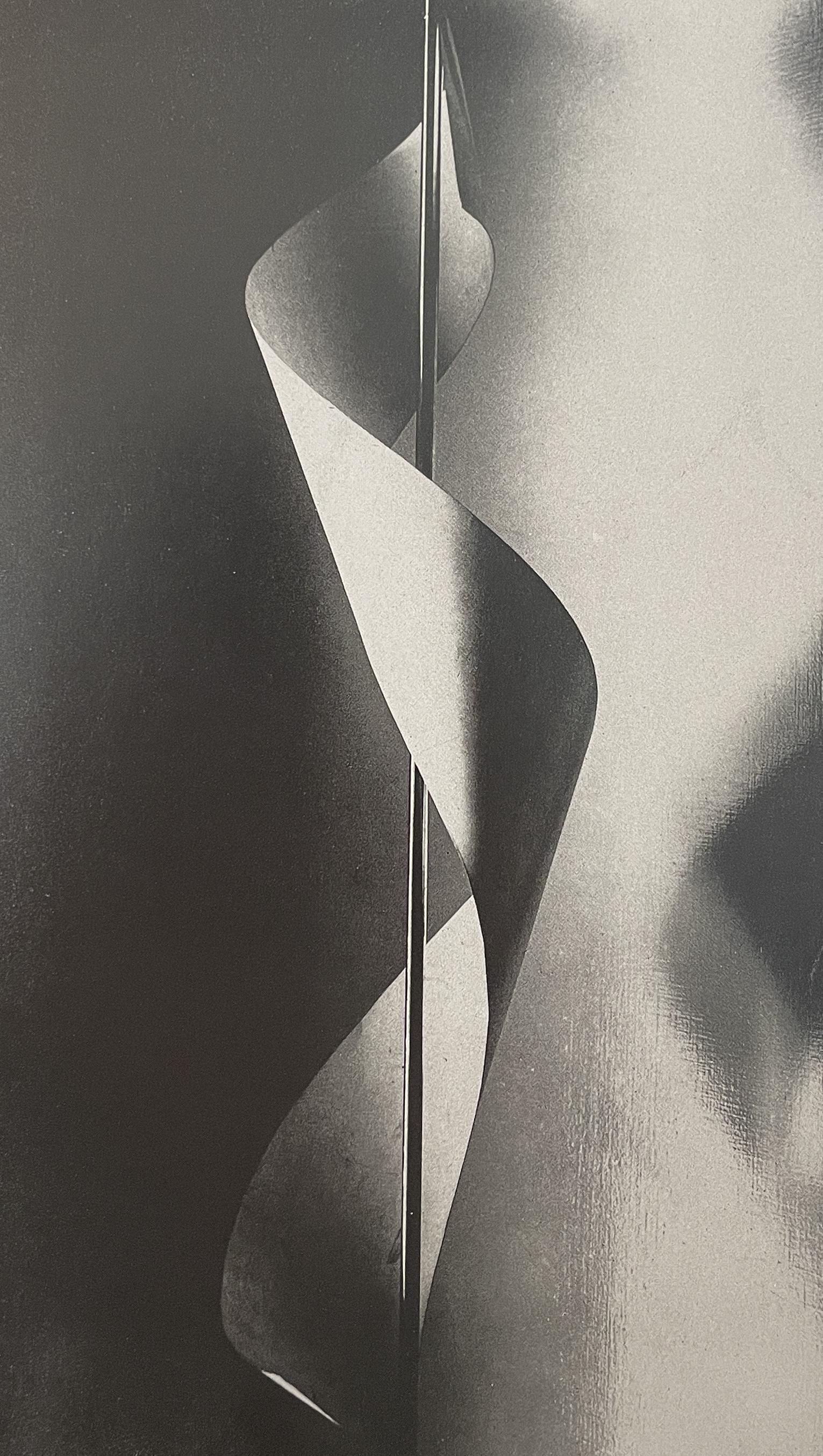 Man Ray - Lampshade, 1920 (1 of 1)