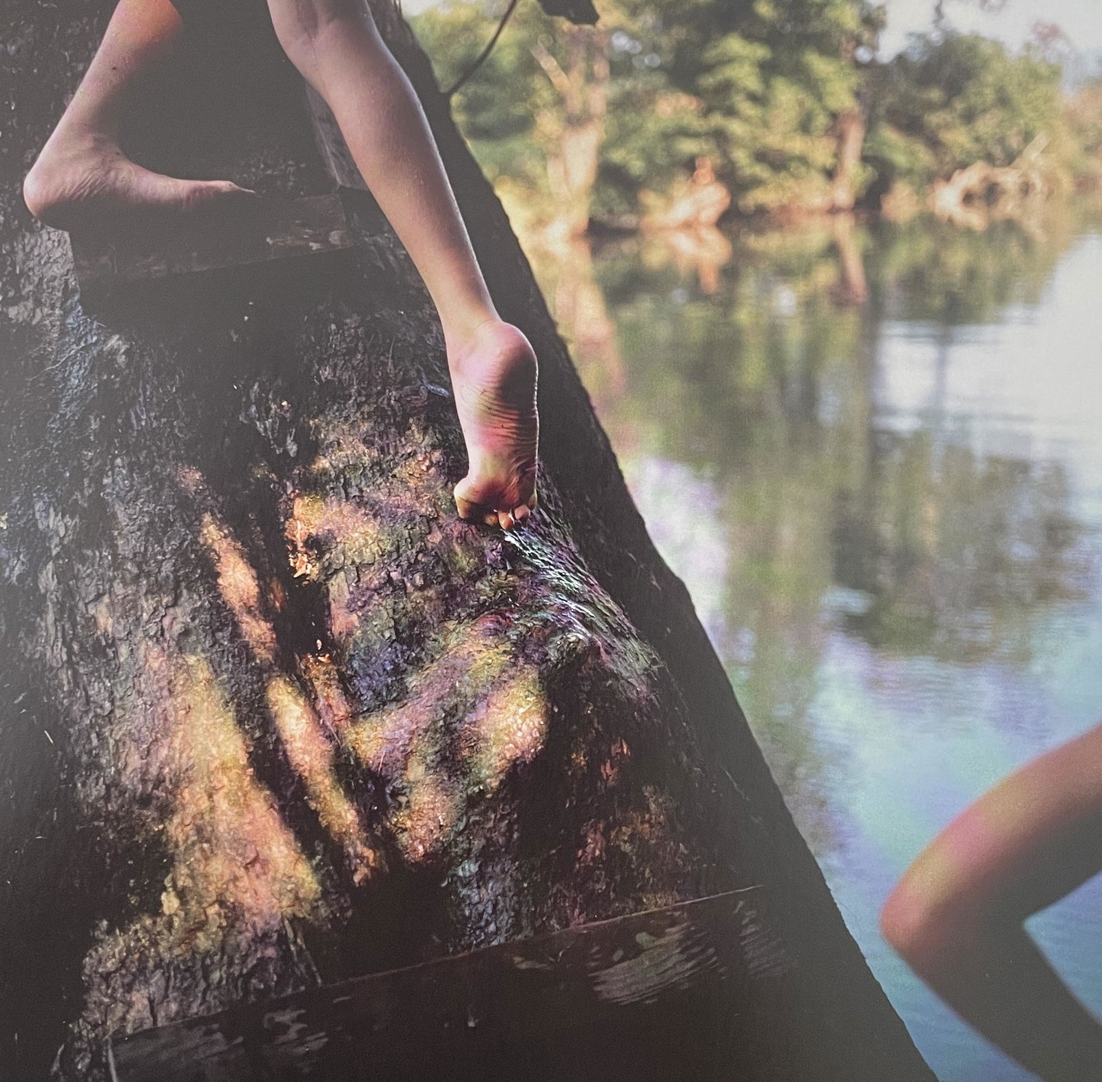 Sally Mann - Bean's Bottom, 1991: SALLY MANN (B.1951) Title - Bean's Bottom, 1991 Type of Print - Print in Colors Estimated Image Size - 8" x 8" Sally Mann is an American photographer known for her black-and-white portraits of her fam