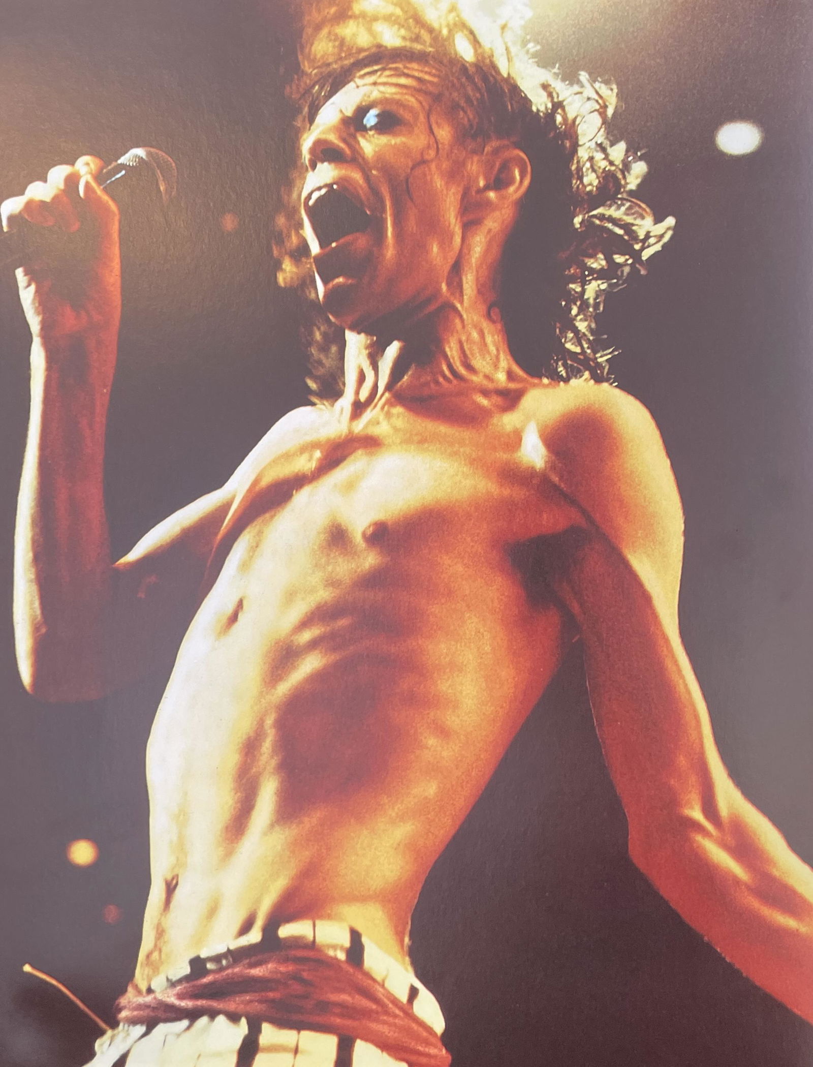 Annie Leibovitz - Mick Jagger, 1975 (1 of 1)