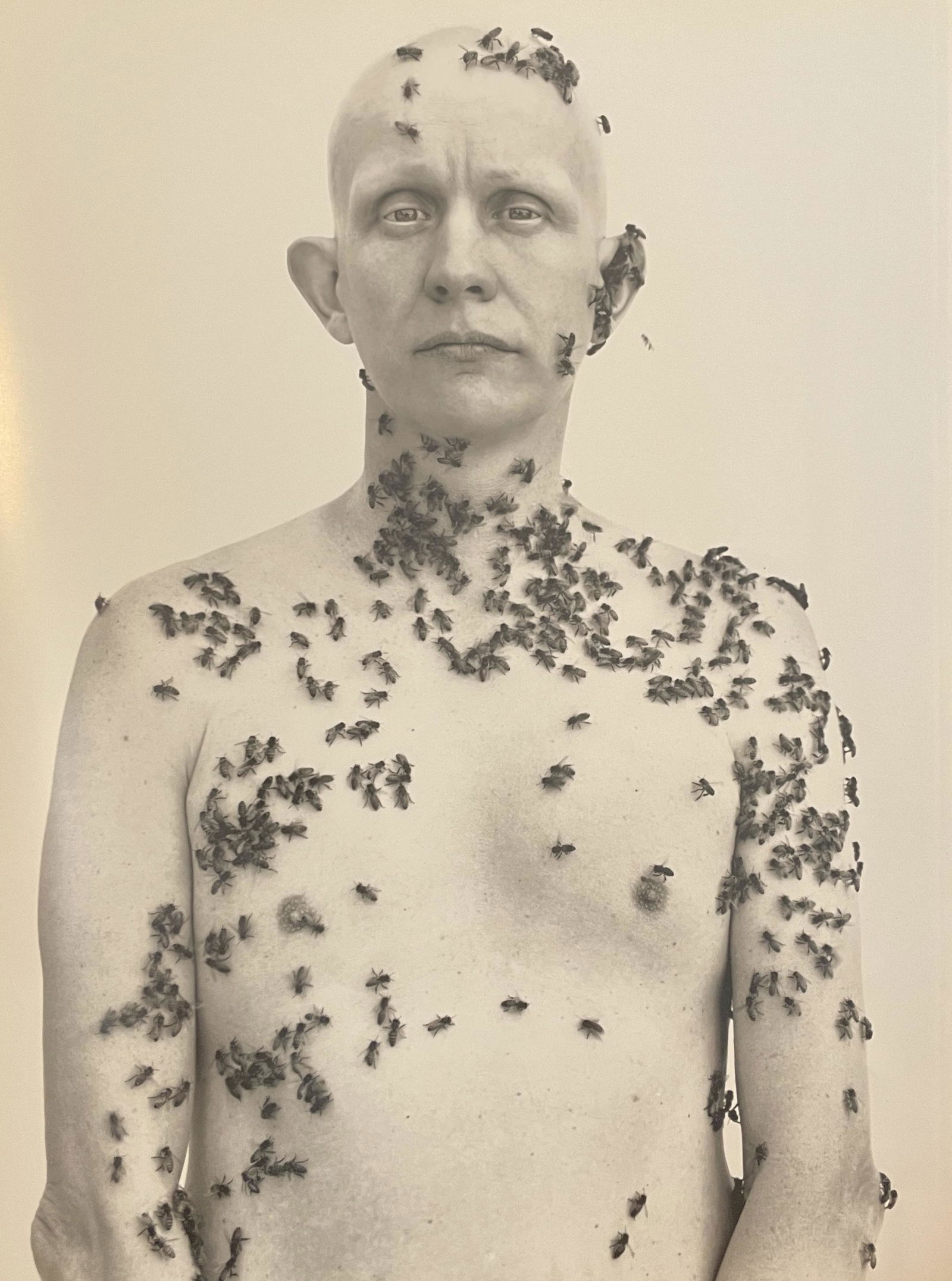 Richard Avedon - Ronald Fischer, California, 1981 (1 of 1)