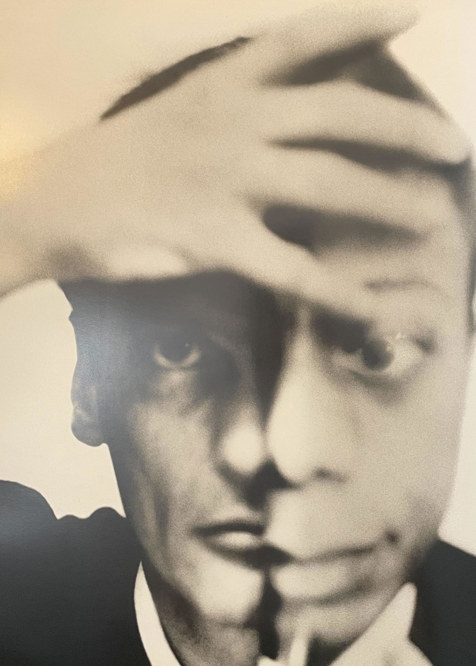 Richard Avedon Self Portrait With James Baldwin