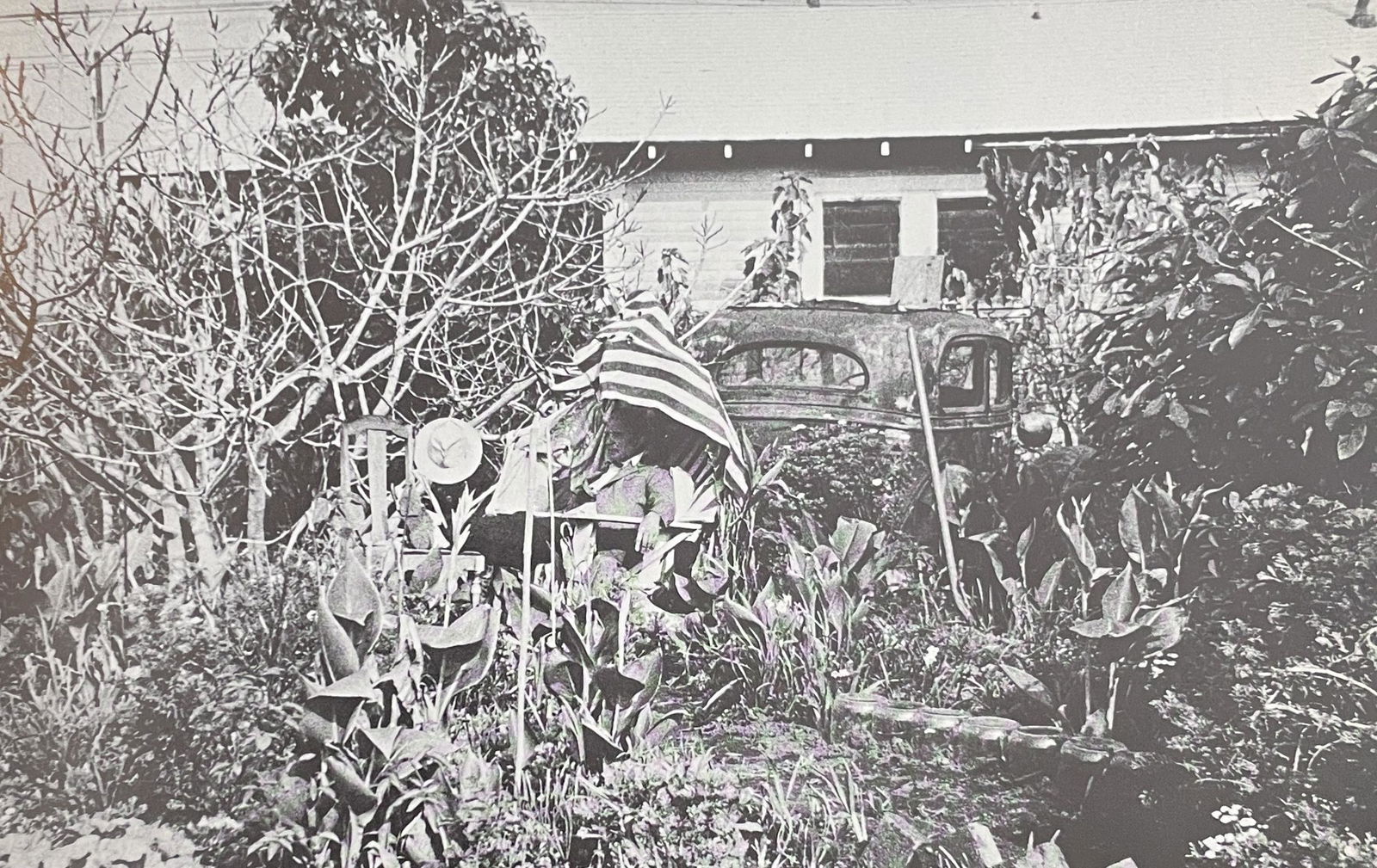 Robert Frank - Backyard, California: ROBERT FRANK (1924-2019) Title - Backyard, Venice West, California Type of Print - Print in Colors Estimated Image Size - 7 3/4" x 5" Robert Frank is a Swiss-born American filmmaker and photographer.