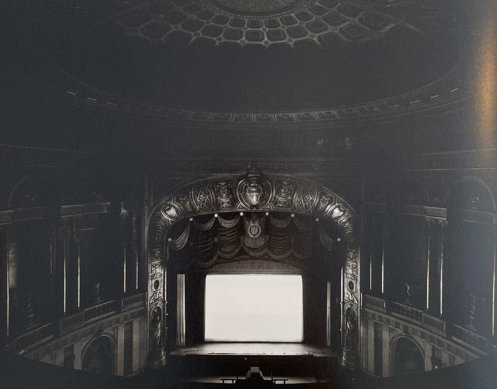 Hiroshi Sugimoto - Palms, Michigan, 1980 (1 of 1)