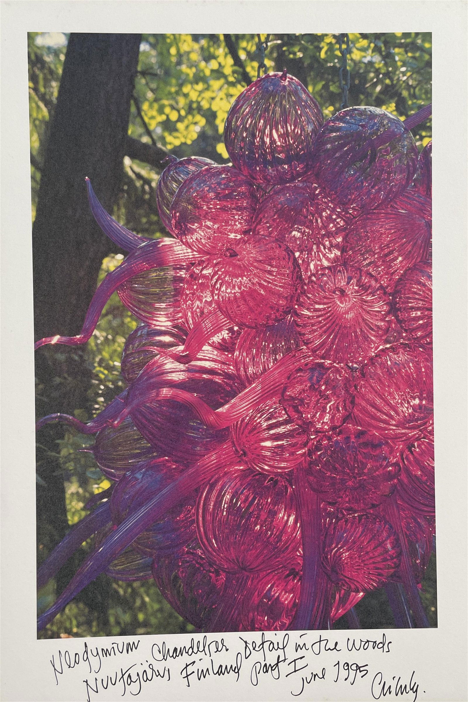 Dale Chihuly - Vintage Print, 1995 (1 of 6)