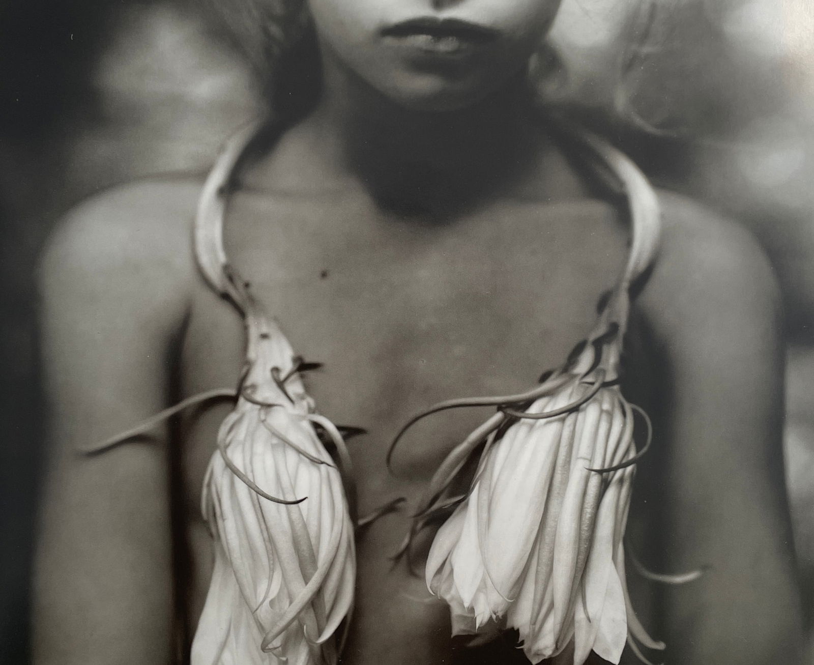 Sally Mann - Night Blooming Cereus, 1988: SALLY MANN (B.1951) Title - Night Blooming Cereus, 1988 Type of Print - Print in Colors Approximate Image Size - 9 3/4" x 8" Sally Mann is an American photographer known for her black-and-white portra