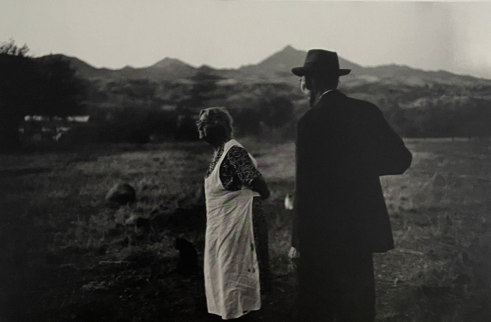 Bruce Davidson - John and Kate Wall, 1955: BRUCE DAVIDSON (B.1933) Title - John and Kate Wall, 1955 Type of Print - Print in Colors Approximate Image Size - 9 5/8" x 6 3/8" Bruce Davidson is an American photographer known for capturing images