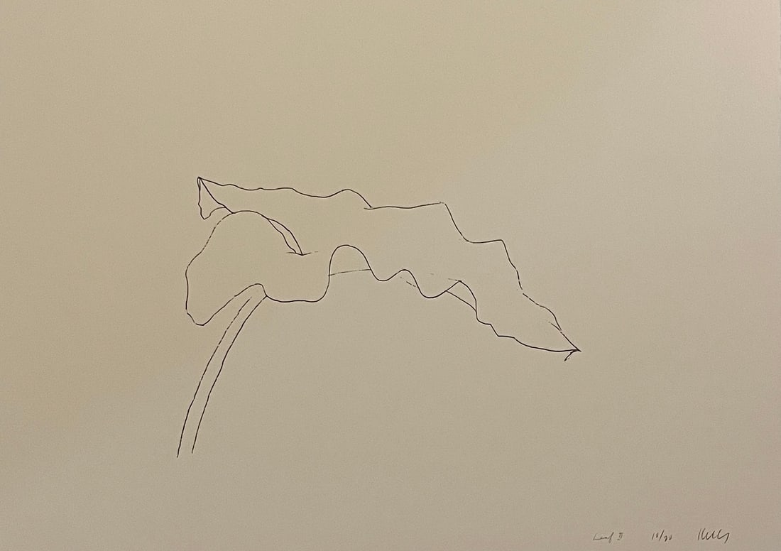 Ellsworth Kelly - Leaf II, 1978 (1 of 1)