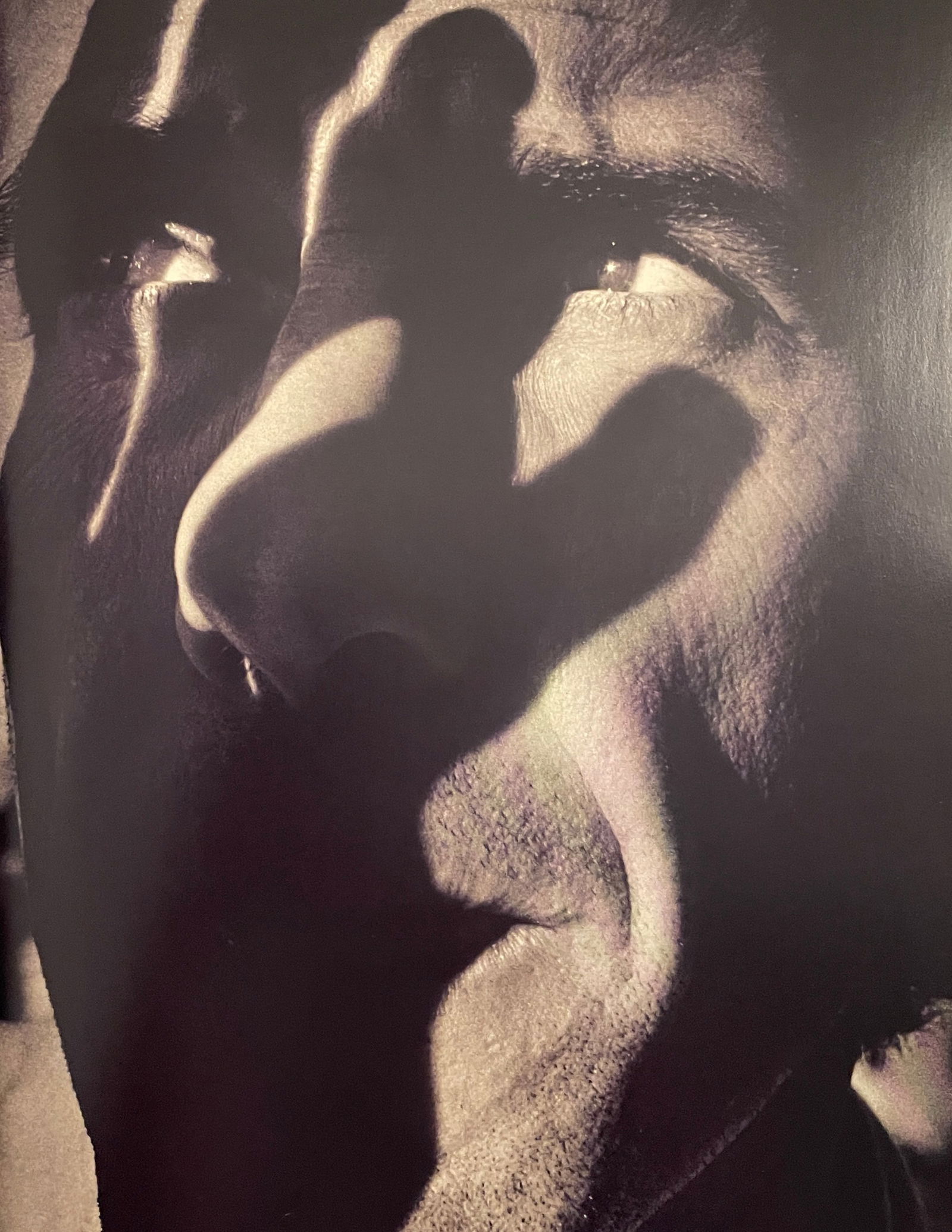 Alastair Thain - Enzo Cucchi: ALASTAIR THAIN (B.1961) Title - Enzo Cucchi Type of Print - Print in Colors Approximate Image Size - 14" x 10" Alastair Thain does not document the appearance of VIPs, rather he captures their charism