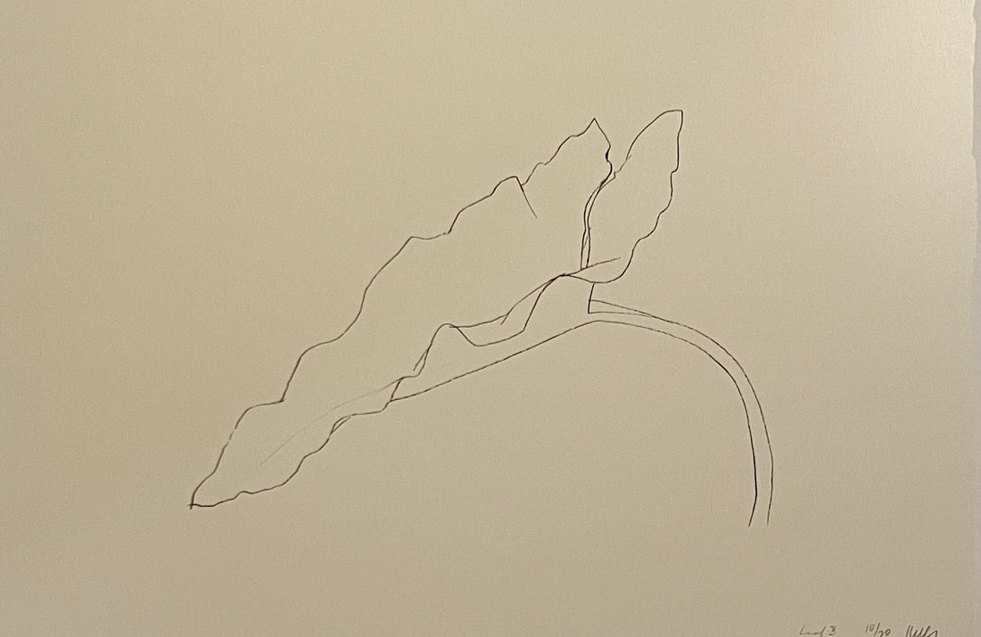 Ellsworth Kelly - Leaf X, 1978 (1 of 1)