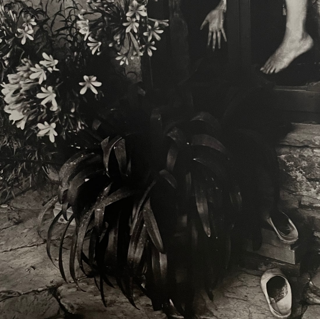 Francesca Woodman - Untitled, 1978: FRANCESCA WOODMAN (1958â€“1981) Title - Untitled, 1978 Type of Print - Print in Colors Approximate Image Size - 6 3/4" x 6 3/4" Francesca Woodman was an American photographer known for her black-