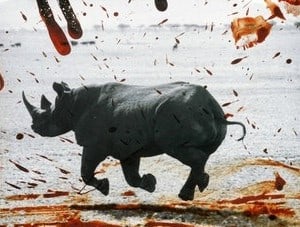 Peter Beard - Rhino, Print: PETER BEARD (1938-2020) Rhino Print in Colors 12 1/4" x 17"