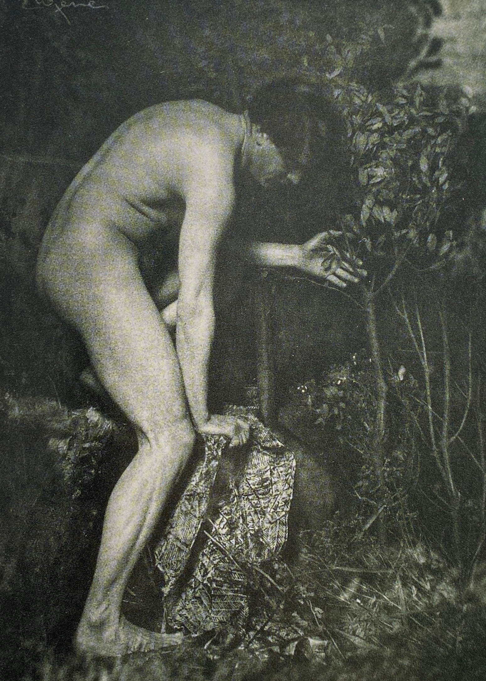 Frank Eugene Smith - Male Nude, 1914: FRANK EUGENE SMITH (1865-1936) Male Nude, 1914 Print in Colors 4 1/2" x 6 1/2"