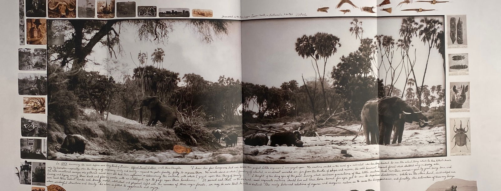 Peter Beard - Downwind on the Tiva Lugga, 1965: PETER BEARD (1938-2020) Downwind on the Tiva lugga, 1965 Print in Colors 12 1/4" x 28"