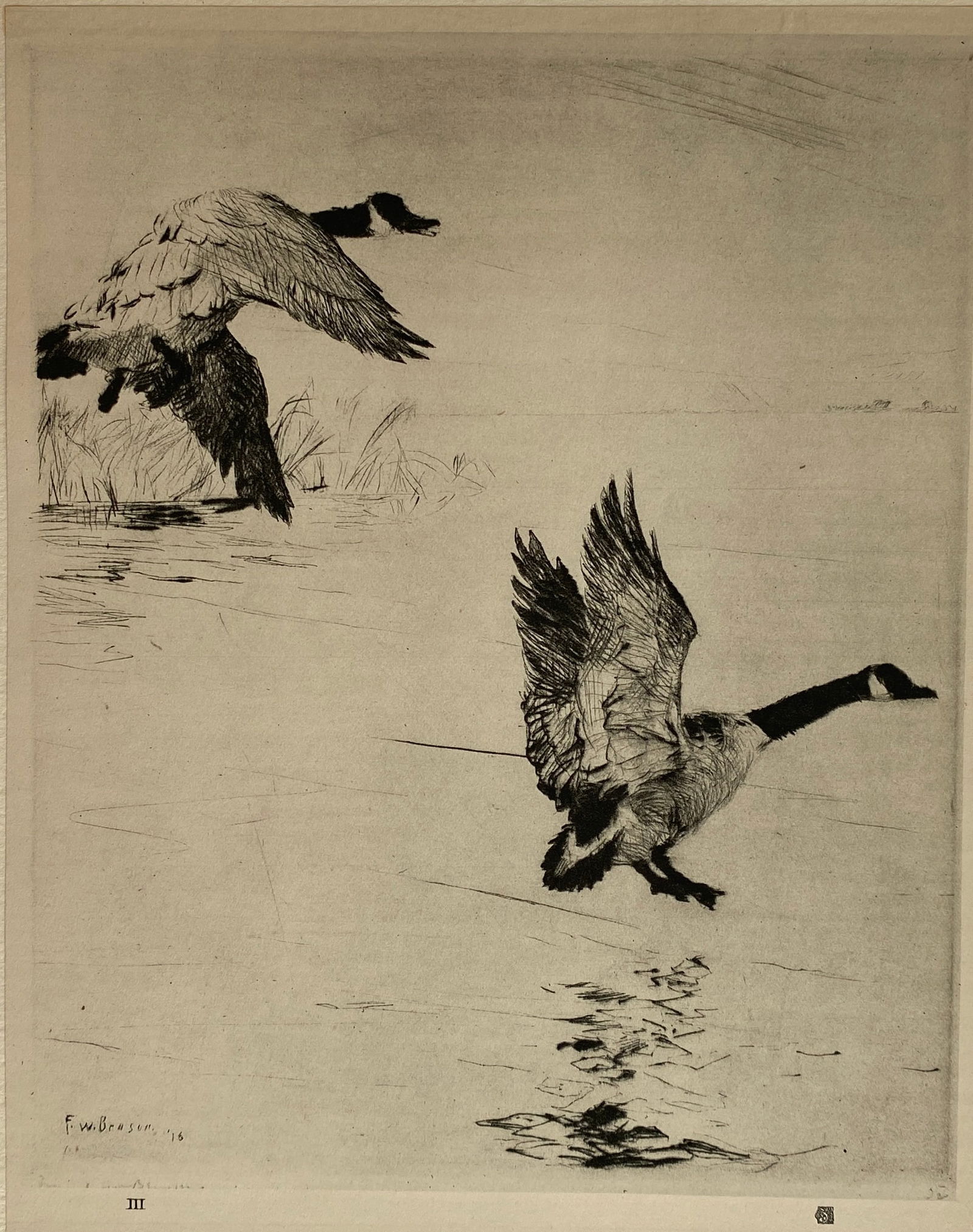 Frank W. Benson - Geese Alighting, Print (1 of 1)