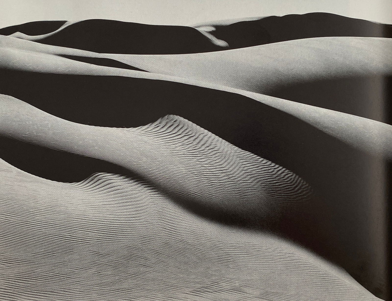 Edward Weston - Oceano, 1936 (1 of 1)