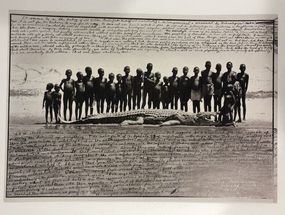 Peter Beard - Fergusons Gulf Spit Crocodile, Print: PETER BEARD (1938-2020) Fergusons Gulf Spit Crocodile Print in Colors 12 1/4" x 17"