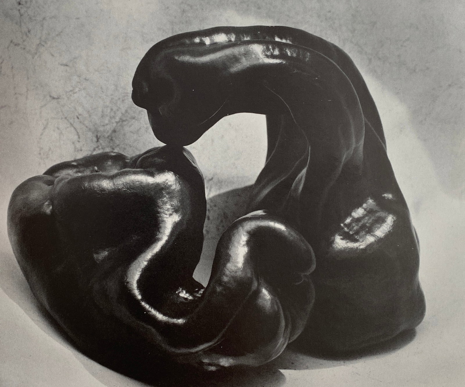 Edward Weston - Peppers, 1929 (1 of 1)