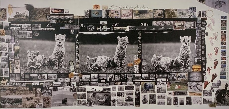 Peter Beard - Orphaned Cheetahs (Triptych): PETER BEARD (1938-2020) Orphaned Cheetahs (Triptych) Print in Colors 12 1/4" x 25"