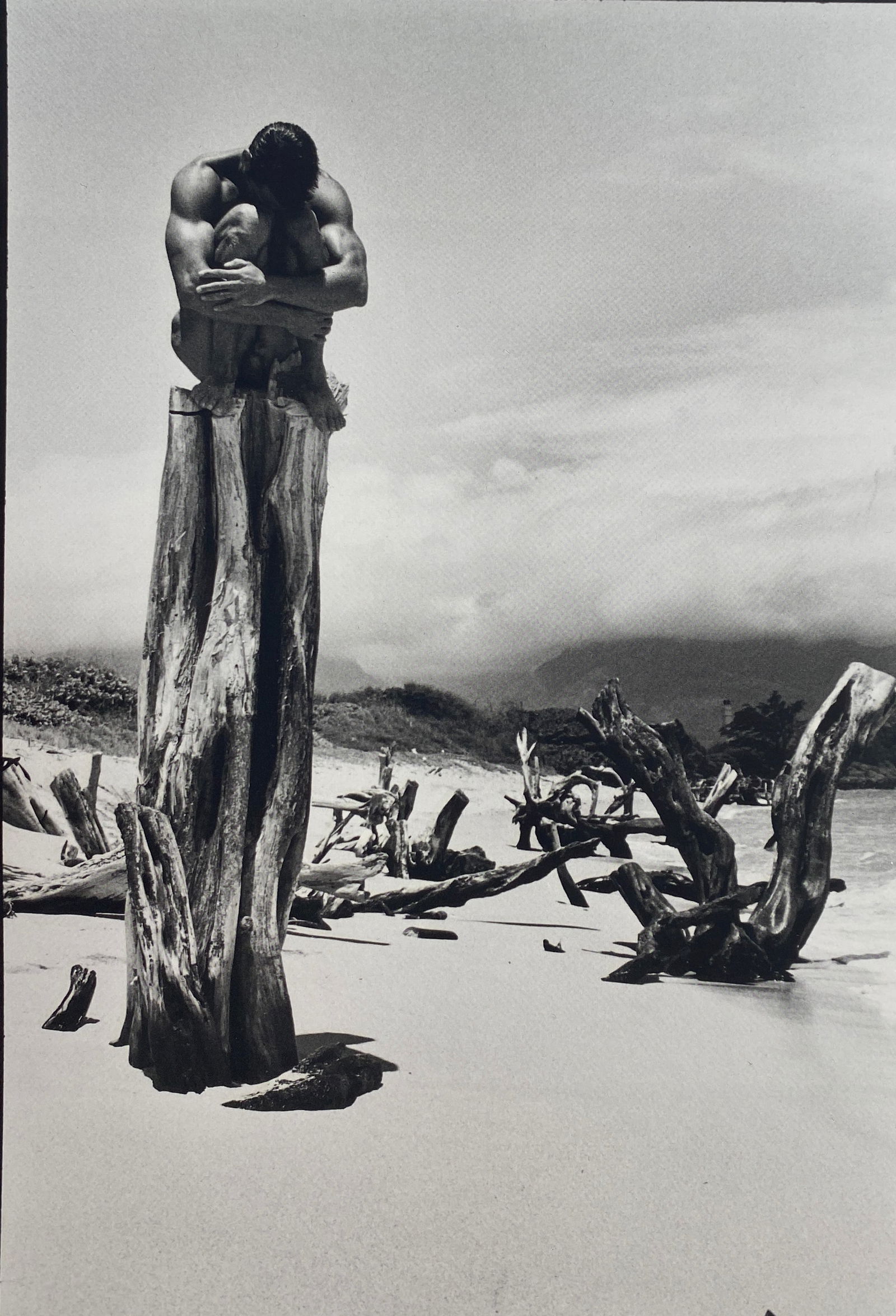 Tom Bianchi - Carl on a Pedestal, Male Nude: TOM BIANCHI (B. 1945) Carl on a Pedestal Print in Colors 6 3/4" x 9 3/4"