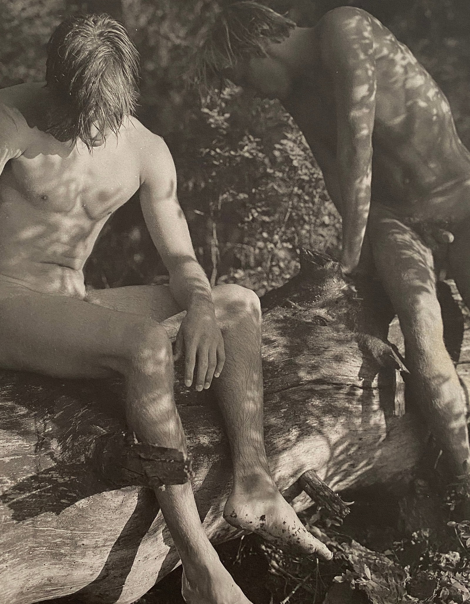 Bruce Weber - Grouping of 4 Male Nudes: BRUCE WEBER (B. 1946) Grouping of 4 Male Nude Prints Each measures approximately 8" x 10"