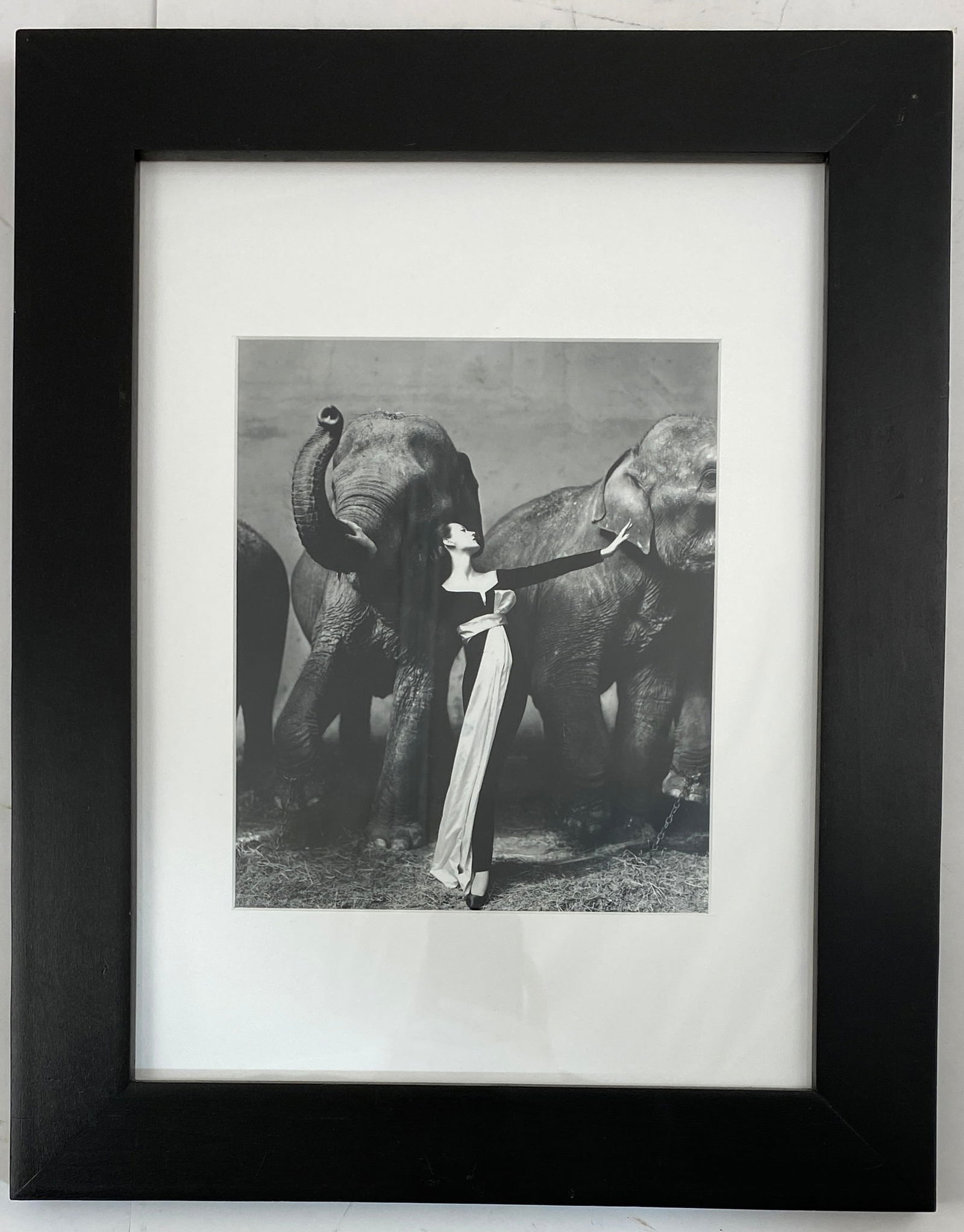 Richard Avedon - Dovima with Elephants, 1955 (Framed) (1 of 7)