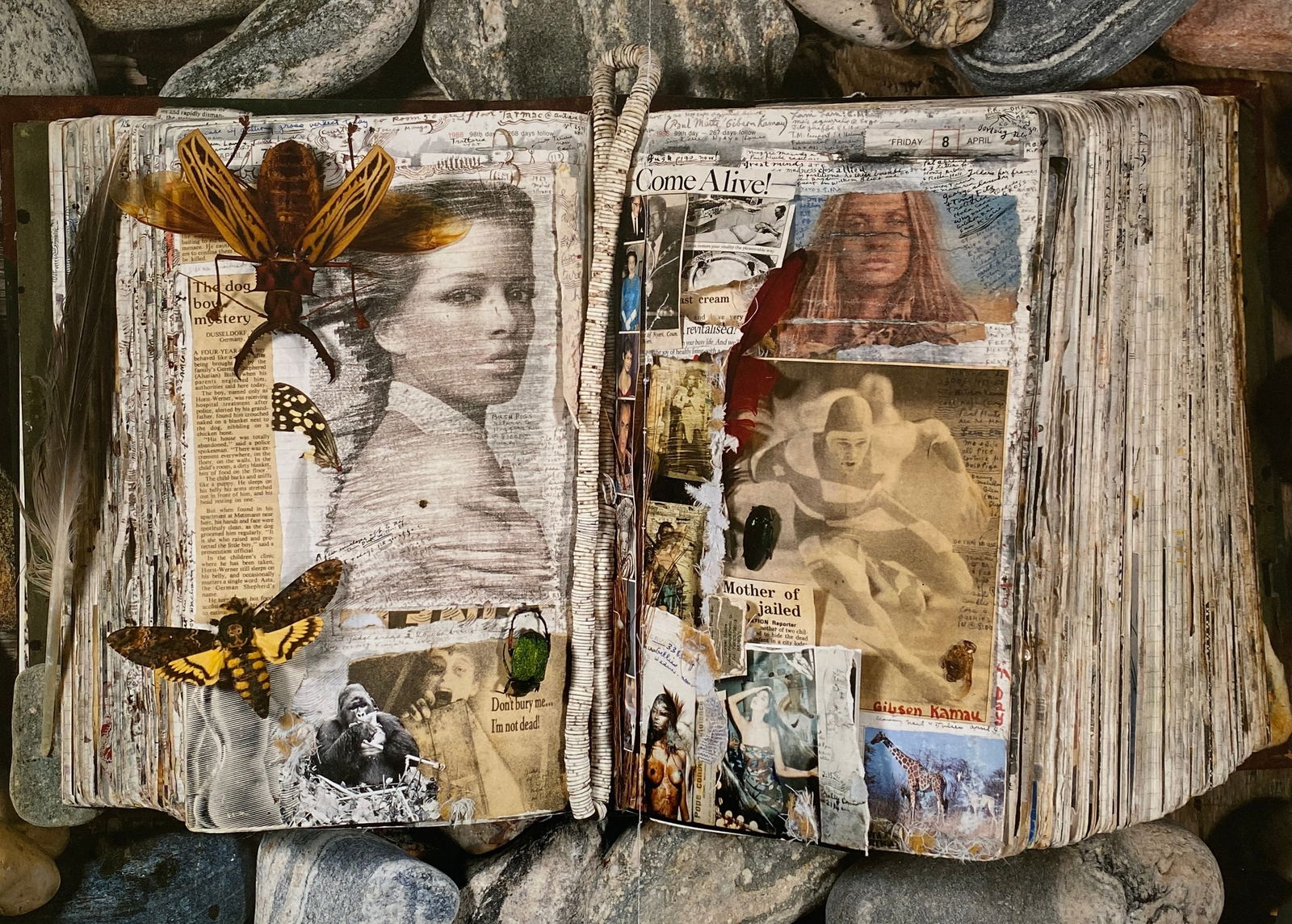 Peter Beard - Untitled, Offset Lithograph: PETER BEARD Untitled Offset Lithograph 14 1/2" x 20"