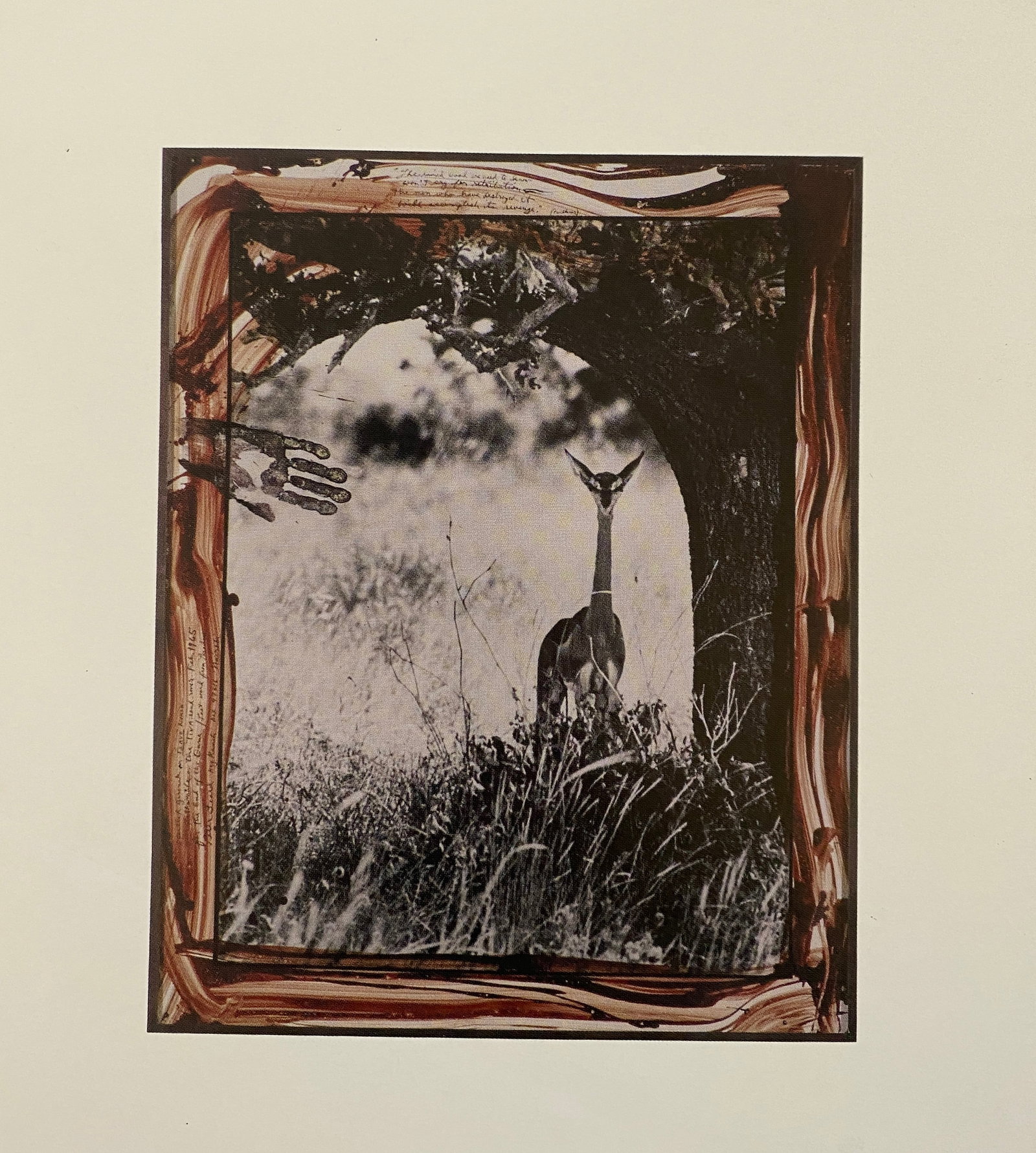 Peter Beard - Female Gerenuk on the Tiva, Tsavo North, 1965: PETER BEARD (1938–2020) Gerenuk on the Tiva, Tsavo North, 1965 Print 5 1/2" x 4 1/4"