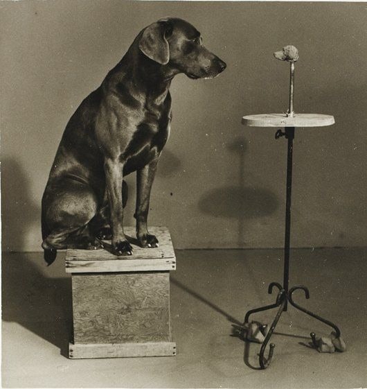 William Wegman - Contemplating the Bust of Man Ray (1 of 1)